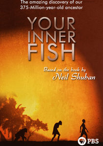 Your Inner Fish Ne Zaman?'