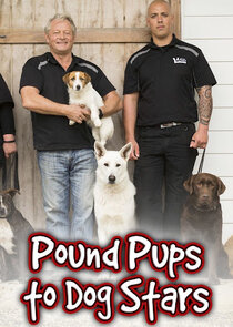 Pound Pups To Dog Stars Ne Zaman?'