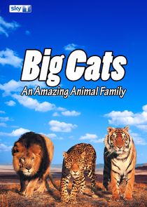 Big Cats: An Amazing Animal Family Ne Zaman?'