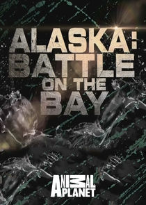 Alaska: Battle on the Bay Ne Zaman?'