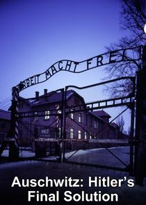 Auschwitz: Hitler's Final Solution Ne Zaman?'