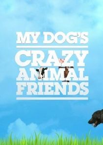 My Dog's Crazy Animal Friends Ne Zaman?'