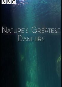 Nature's Greatest Dancers Ne Zaman?'