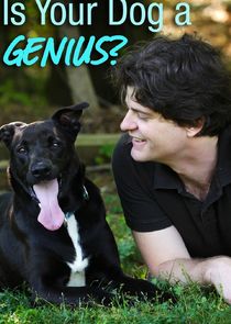 Is Your Dog a Genius? Ne Zaman?'