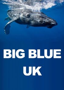 Big Blue UK Ne Zaman?'