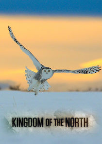Kingdom of the North Ne Zaman?'