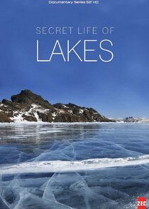 Secret Life of Lakes Ne Zaman?'