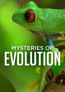 Mysteries of Evolution Ne Zaman?'