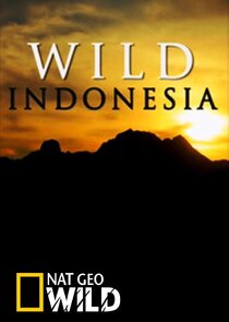 Destination Wild: Indonesia Ne Zaman?'