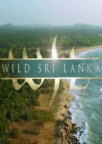 Wild Sri Lanka Ne Zaman?'