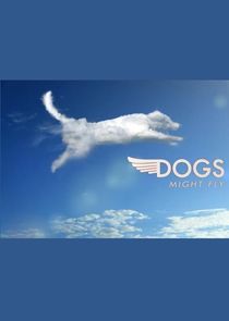 Dogs Might Fly Ne Zaman?'