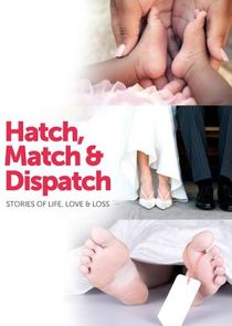 Hatch, Match & Dispatch Ne Zaman?'