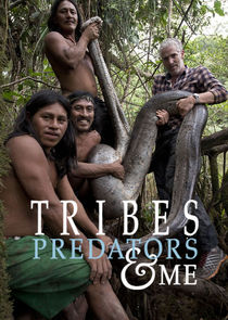 Tribes, Predators & Me Ne Zaman?'