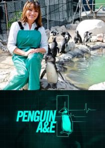Penguin A&E with Lorraine Kelly Ne Zaman?'