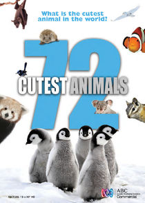 72 Cutest Animals Ne Zaman?'