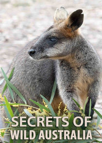 Secrets of Wild Australia Ne Zaman?'