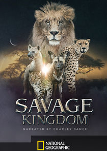 Savage Kingdom Ne Zaman?'