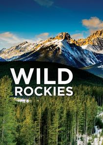 Wild Rockies Ne Zaman?'