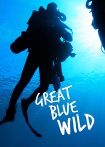 Great Blue Wild Ne Zaman?'