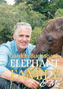 Gordon Buchanan: Elephant Family & Me Ne Zaman?'