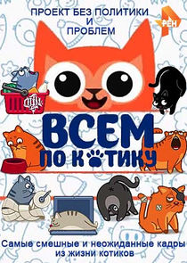 Всем по котику Ne Zaman?'