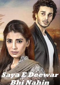 Saya-E-Deewaar Bhi Nahin Ne Zaman?'