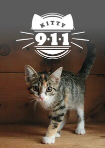 Kitty 911 Ne Zaman?'