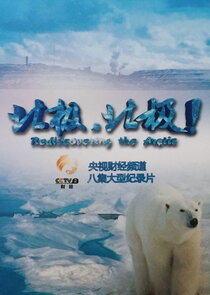 Rediscovering the Arctic Ne Zaman?'