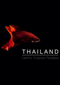 Thailand: Earth's Tropical Paradise Ne Zaman?'