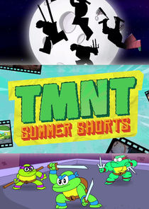 TMNT Summer Shorts Ne Zaman?'