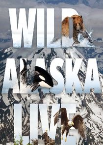 Wild Alaska Live Ne Zaman?'