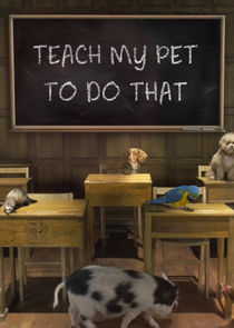 Teach My Pet to Do That Ne Zaman?'