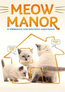 Meow Manor Ne Zaman?'