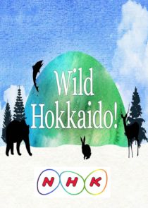 Wild Hokkaido! Ne Zaman?'