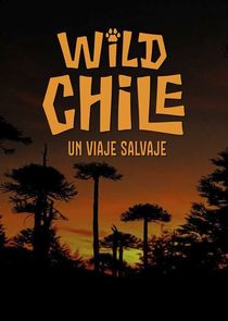 Wild Chile: Un Viaje Salvaje Ne Zaman?'