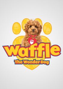Waffle the Wonder Dog Ne Zaman?'