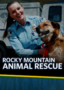 Rocky Mountain Animal Rescue Ne Zaman?'