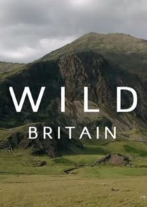 Wild Britain Ne Zaman?'