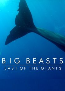 Big Beasts: Last of the Giants Ne Zaman?'
