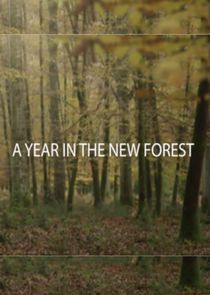 A Year in the New Forest Ne Zaman?'