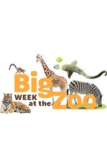 Big Week at the Zoo Ne Zaman?'