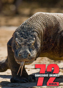 72 Dangerous Animals: Asia Ne Zaman?'