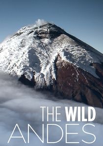 The Wild Andes Ne Zaman?'