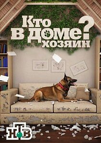 Кто в доме хозяин Ne Zaman?'