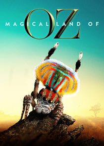 Magical Land of Oz Ne Zaman?'