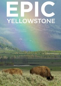 Epic Yellowstone Ne Zaman?'