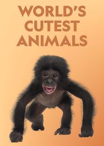 World's Cutest Animals Ne Zaman?'