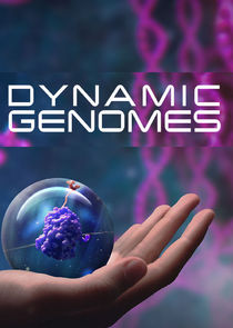 Dynamic Genomes Ne Zaman?'