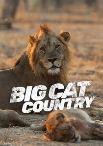 Big Cat Country Ne Zaman?'