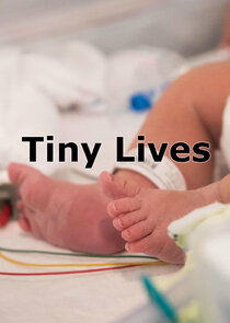 Tiny Lives Ne Zaman?'